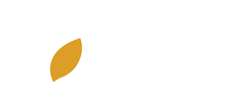 Faculdade Famart
